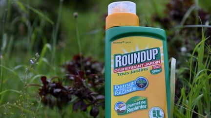 &nbsp; (Le Roundup est l'un des produits phares du géant américain Monsanto © MaxPPP)