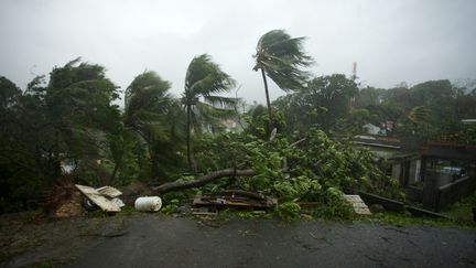 Le village de Petit-Bourg, en Guadeloupe, après le passage de l'ouragan Maria, le mardi 19 septembre. (CEDRIK-ISHAM CALVADOS / AFP)