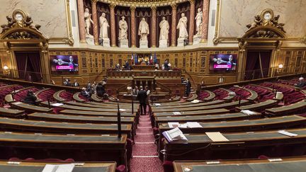 L'hémicycle du Sénat en novembre 2017 (illustration). (LIONEL BONAVENTURE / AFP)