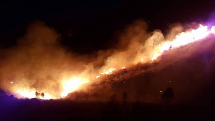 Incendie à&nbsp;Bastelica, le 24 mars 2017. (Service Départemental d'Incendie et de Secours de Corse du Sud)