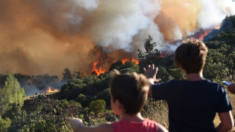 Un feu de forêt à Gignac (Hérault), le 26 juillet 2022. (SYLVAIN THOMAS / AFP)