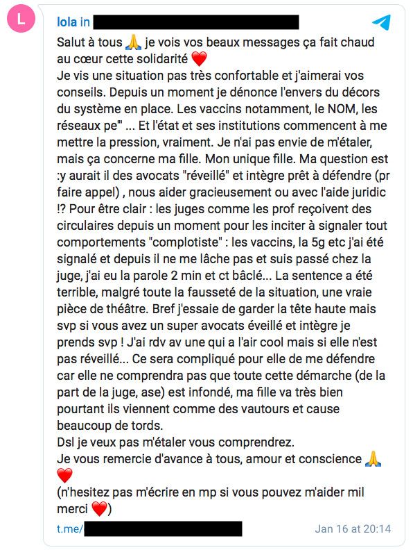 Lola Montemaggi lance un appel à l'aide sur un groupe Telegram après un jugement qui lui interdit de voir sa fille seule, le 16 janvier 2021. (LOLA MONTEMAGGI / TELEGRAM)