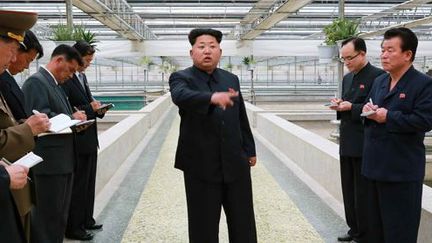 Taedonggang Terrapin Farm (Corée du Nord), le 19 mai 2015. Kim Jong-un en train de vivement sermoner les dirigeants d'une ferme d'élevage de tortues  (Rodong.rep.kp)