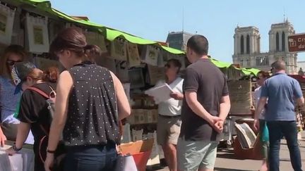 Les bouquinistes des berges de la Seine pourraient bientôt entrer au patrimoine immatériel de l'Unesco. (FRANCE 2)