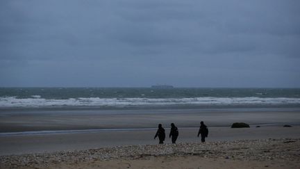 Des policiers sur la plage de Wimereux (Pas-de-Calais), le 24 novembre 2021. (VALERIA MONGELLI / HANS LUCAS / AFP)