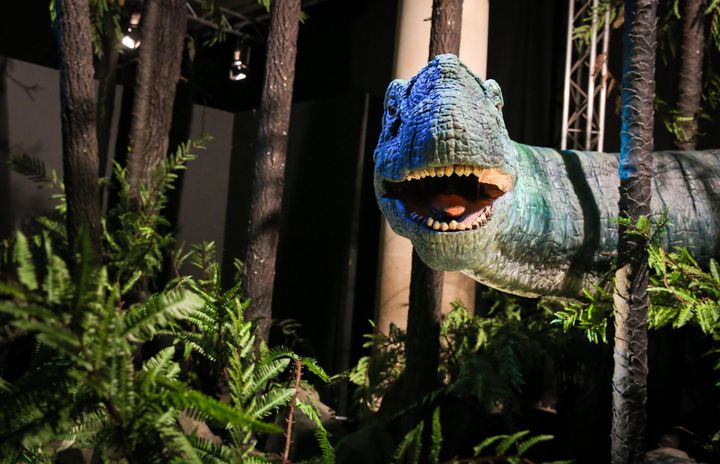 Exposition "Autour des dinosaures" au Palais de la découverte à Paris, septembre 2015.
 (Matthieu de Martignac/PHOTOPQR/LE PARISIEN)