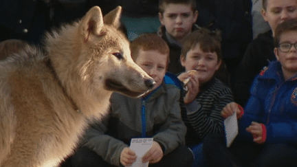 Le loup et les enfants de Vitry-le-François
 (H. Doumergue - France 3 Culturebox capture d&#039;écran)