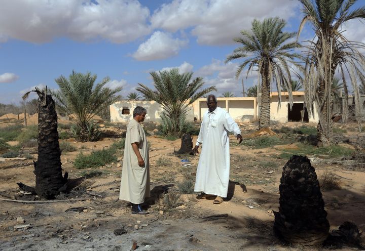 Du temps de sa splendeur, Tawergha était une palmeraie réputée. La guerre l'a ravagée. (MAHMUD TURKIA / AFP)