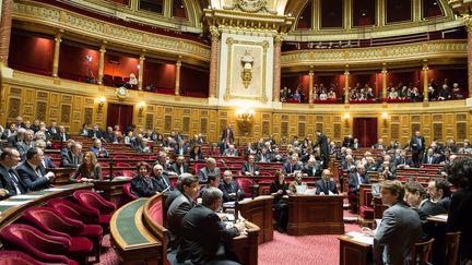 Une séance de questions au gouvernement au Sénat, le 14 janvier 2016. (MAXPPP)