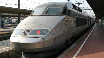 &nbsp; (Aucun train ne circule ce jeudi en gare de Lyon Part-Dieu © Maxppp)