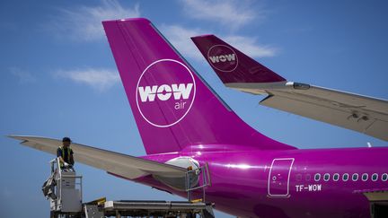 La dérive d'un avion de la compagnie aérienne Wow air à l'aéroport Charles-de-Gaulle à Roissy (Val-d'Oise). (JOEL SAGET / AFP)