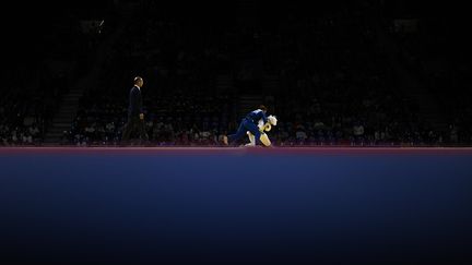 Plongée au cœur de l'arena Champ-de-Mars. Le tatami du parajudo y règne en empereur du milieu. (JULIEN DE ROSA / AFP)