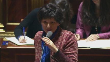 La ministre de la Famille, Dominique Bertinotti, le 27 mars 2013 au S&eacute;nat. (FRANCE 2 / FTVI)