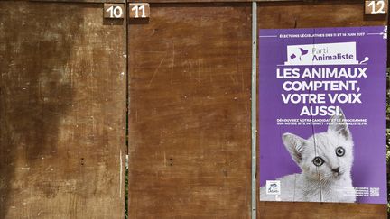 Parti animaliste : lumière sur l'une des surprises des Européennes 2019