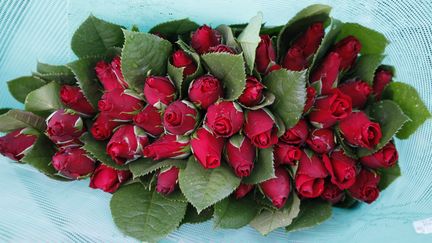 Un bouquet de roses, le 6 février 2013, à&nbsp;Facatativa (Colombie). (JOHN VIZCAINO / REUTERS)