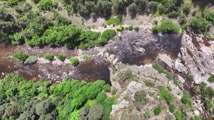 À cheval, de nombreux curieux découvrent la pêche à la mouche dans des recoins de la Loire sauvage. Un spectacle à couper le souffle.