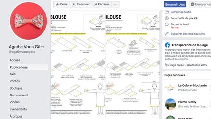 Agathe Lefeuvre a conçu un prototype de blouse pour les soignants, qu’elle a publié sur internet&nbsp;(capture écran). (FACEBOOK)