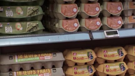 Oeufs : les prix pourraient augmenter pour faire face à la hausse de l’alimentation des poules