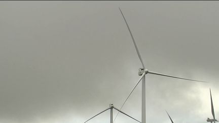 Intempéries : les éoliennes sont-elles prévues pour résister aux rafales de vent et aux tempêtes ? (France 2)