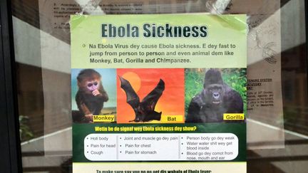 Une affiche de pr&eacute;vention contre l'Ebola placard&eacute;e &agrave; l'entr&eacute;e principale du bureau du ministre de la Sant&eacute; du Nigeria &agrave; Abuja,&nbsp;le 6 ao&ucirc;t 2014. ( AFP )