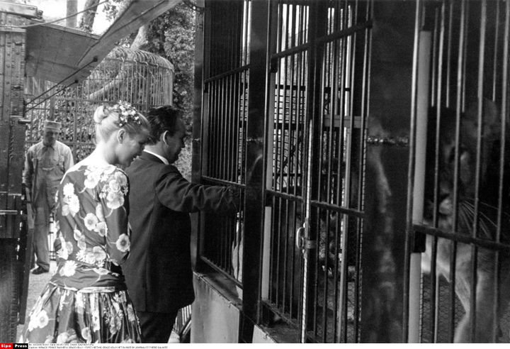 Rainier passant le bras dans la cage du tigre. Geste qui dit-on impressiona beaucoup la jeune actrice.&nbsp; (DALMAS/SIPA)