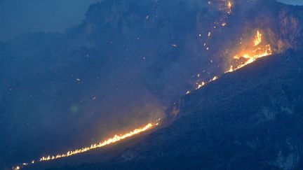 Un incendie en cours, le 25 juillet 2023 à Palerme, en Sicile (Italie). (ANSA)