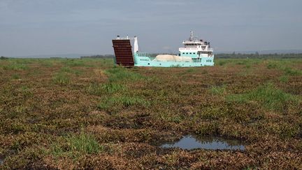 Ce bateau est bloqué sur un lit de jacinthes, en partie décomposées, dans le lac Victoria, la plus grande étendue d'eau douce d'Afrique. Ces plantes aquatiques, qui ont envahi le lac à la dans les années 80, ont été régulièrement combattues, notamment grâce à l'introduction de charançons, mais elles refont sans cesse surface pénalisant fortement les pêcheurs. (Baz RATNER / REUTERS)