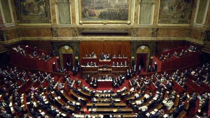 Sous la Ve R&eacute;publique, le pr&eacute;sident &eacute;lu a toujours gagn&eacute; les l&eacute;gislatives dans la foul&eacute;e, confortant sa majorit&eacute;. (ERIC FEFERBERG / AFP)