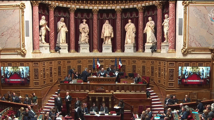 Loi immigration : les sénateurs suppriment l’article 3