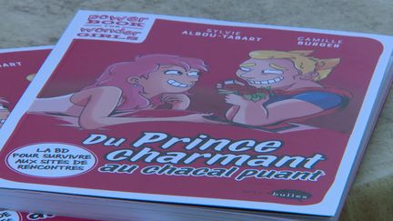 "Du prince charamant au chacal puant", une BD satirique sur les sites de rencontre&nbsp; (J. Gosset / France 3 Alsace)