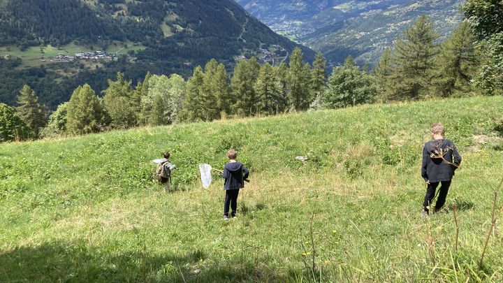 Lors de cette balade nature, les enfants apprennent à attraper puis à relâcher les papillons à l'aide d'un filet. (INGRID POHU / RADIOFRANCE)