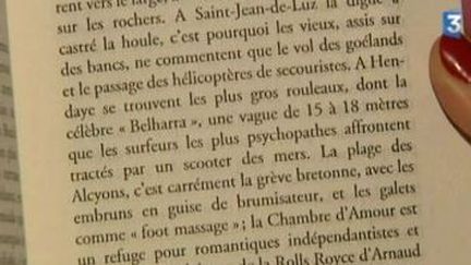 Goncourt et Renaudot : le sacre des auteurs &quot;confirmés&quot;
 (Culturebox)