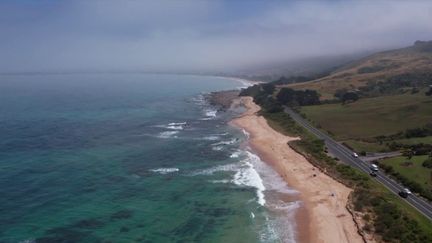 Australie : la route de l'océan, voie mythique pour découvrir la nature sauvage (France 2)