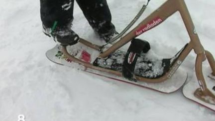 Le snowscoot a la cote sur les pistes de ski