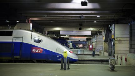 Un TGV à l'arrêt, le 3 décembre 2017 à la gare Montparnasse. (MARTIN BUREAU / AFP)