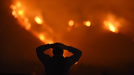 Un homme regarde l'incendie Thomas ravager des collines près de Carpinteria, dans la région de Los Angeles, en Californie, le 11 décembre 2017.&nbsp; (ROBYN BECK / AFP)