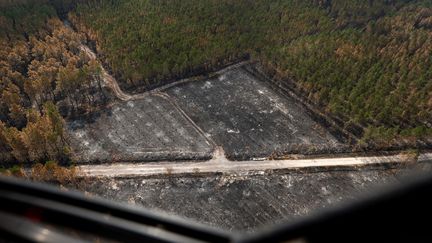 Une photographie aérienne montre des champs brûlés&nbsp;par l'incendie de&nbsp;Landiras en Gironde, le 23 juillet 2022. (BENOIT TESSIER / AFP)