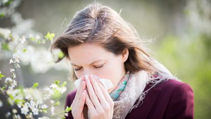 Les pollens de bouleau seront particulièrement présents dans le nord-est de la France, du 15 au 22 avril 2016. (GARO / PHANIE / AFP)