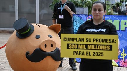 Une militante tient une pancarte demandant aux Etats de tenir la promesse d'allouer 200 milliards de dollars par an d'ici 2030 pour la protection de la biodiversité, lors de la COP16, à Cali (Colombie), le 28 octobre 2024. (LUIS ACOSTA / AFP)