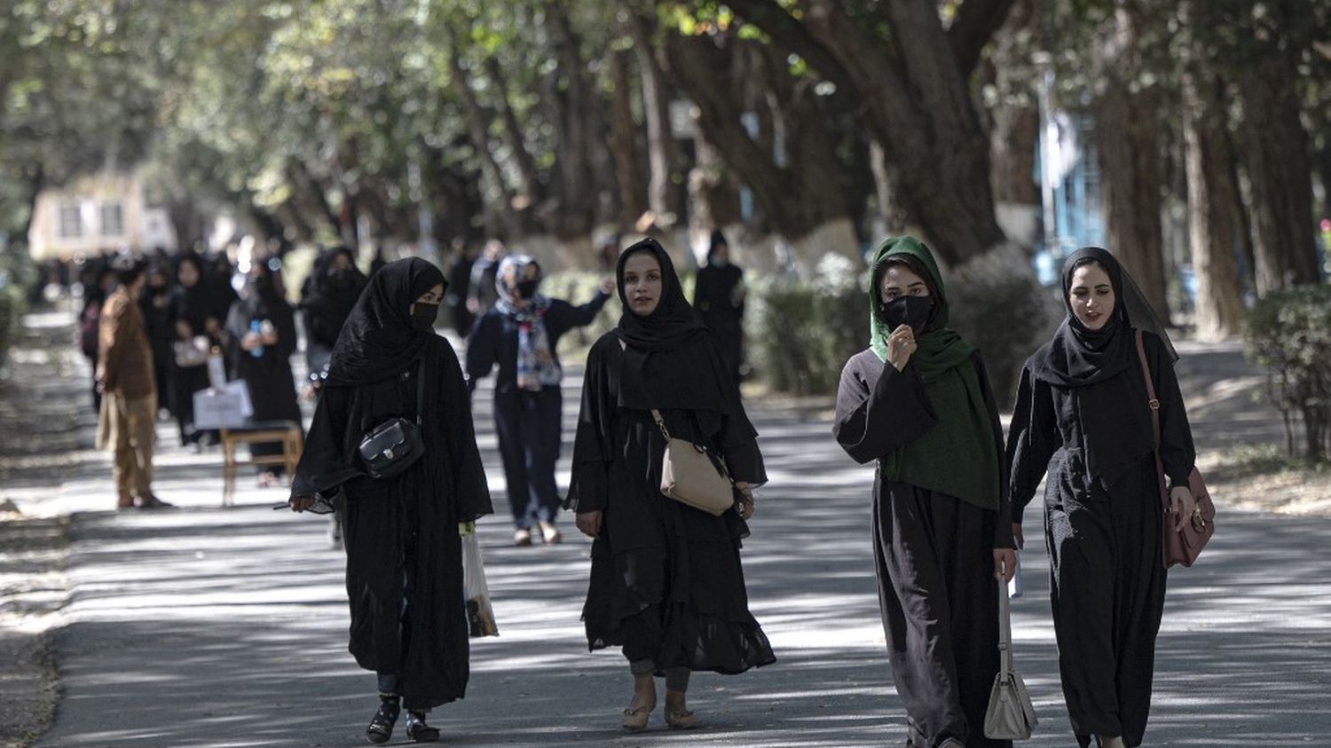 Afghanistan : L'accès à L'université Interdit Aux Femmes Sur Décision ...