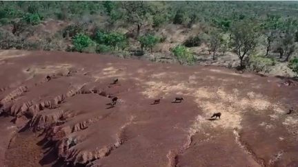 Bénin : deux touristes français portés disparus après un safari