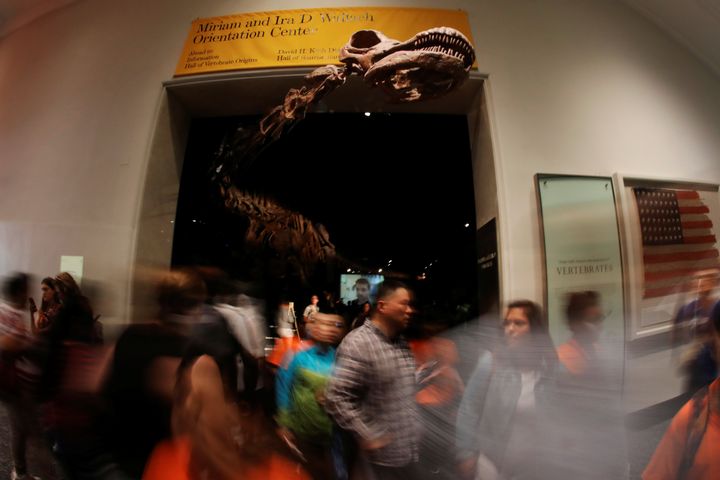 Le "Patagotitan Mayorum" a été officiellement baptisé mercredi 9 août 2017 au Muséum d’histoire naturelle de New York (Etats-Unis). Il est si long que la tête de cette réplique dépasse de la grande salle où il est exhibé. (SHANNON STAPLETON / AFP)