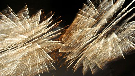 Un feu d'artifice à&nbsp;Andrézieux-Bouthéon (Loire), le 28 décembre 2019. (R?MY PERRIN / MAXPPP)