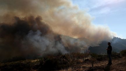 Un résident observe un canyon parcouru par l'incendie Mendocino Complex à Lakeport en Californie, le 31 juillet 2018. (JUSTIN SULLIVAN / GETTY IMAGES / AFP)