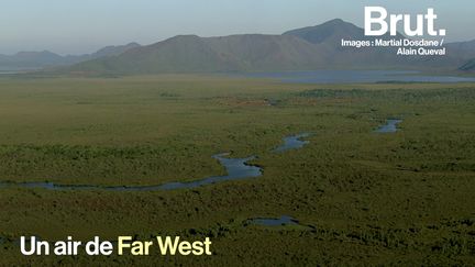 Cet écrin de nature préservée en Nouvelle-Calédonie cache en son cœur un oiseau emblématique : le cagou. C'est le Parc Provincial de la Rivière Bleue.