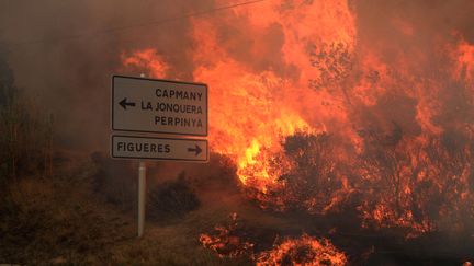 La ville de La Jonqu&egrave;re, indiqu&eacute;e sur le panneau de circulation, cern&eacute;e&nbsp;par les flammes : un incendie de for&ecirc;t particuli&egrave;rement violent s'est d&eacute;clench&eacute; dimanche 22 juillet dans le nord-est de l'Espagne.&nbsp; (JOAN CASTRO / AFP)