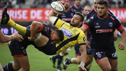 Santé : au rugby, les nombreuses commotions cérébrales alertent les spécialistes