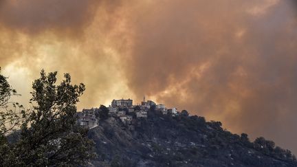 Algérie : la Kabylie touchée par des incendies meurtriers