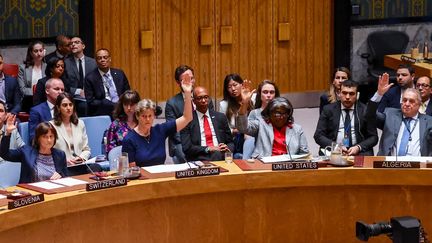 The UN Security Council votes on an American resolution in favor of a ceasefire in the Gaza Strip, June 10, 2024, in New York.  (SELCUK ACAR / ANADOLU / AFP)