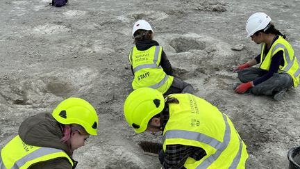 Près de 200 empreintes de dinosaures ont été découvertes dans une carrière au Royaume-Uni